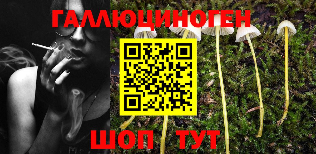 Галлюциногенные грибы прущие грибы  Псилоцибиновые грибы Cubensis  Будённовск  Вход с VPN 